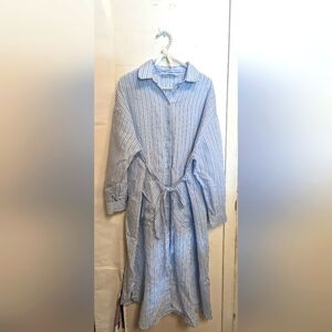 Blue Striped dress (Zara)